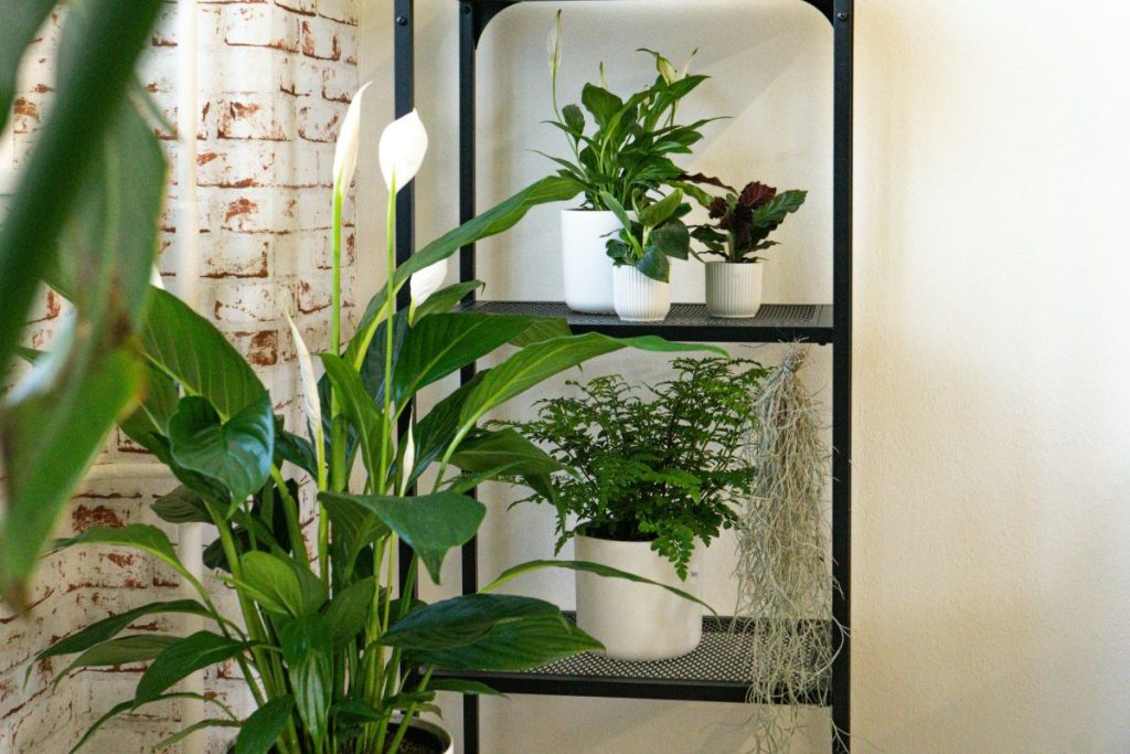 faux bathroom plants