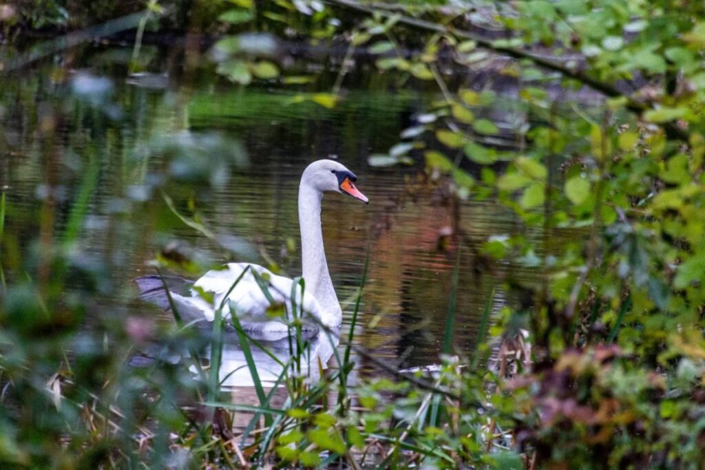 UK bikepacking routes