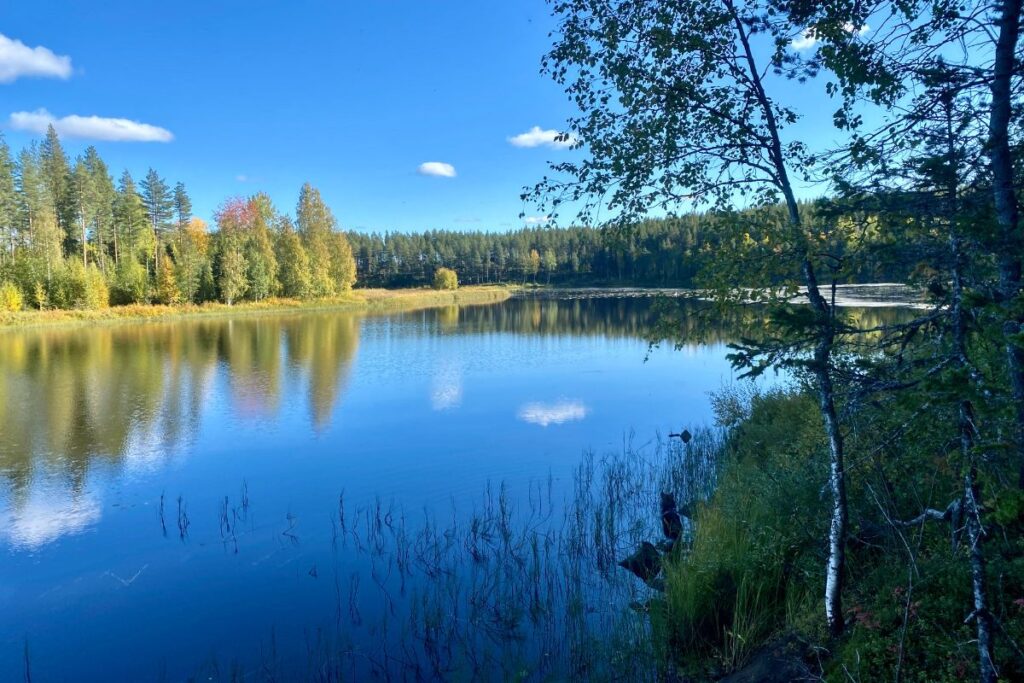 Swedish lakes and wellness