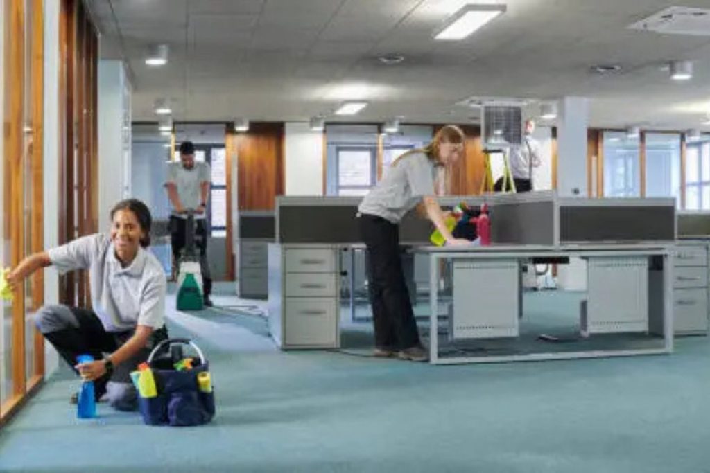 professional cleaners