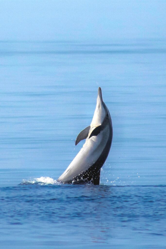 bucket list Sun Siyam Olhuveli the Maldives