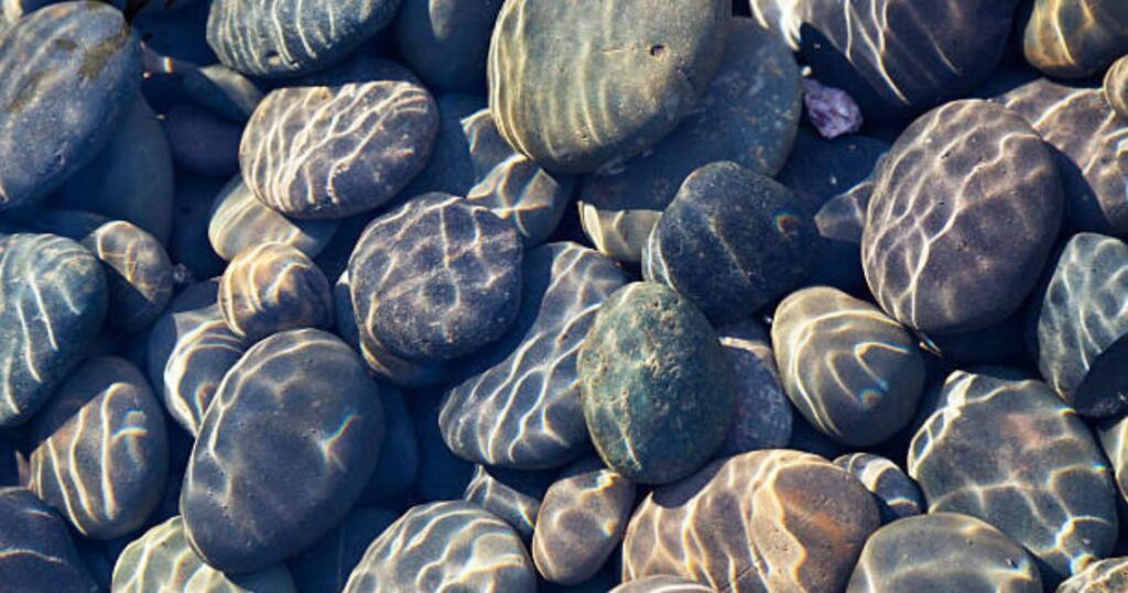 drainage in your garden