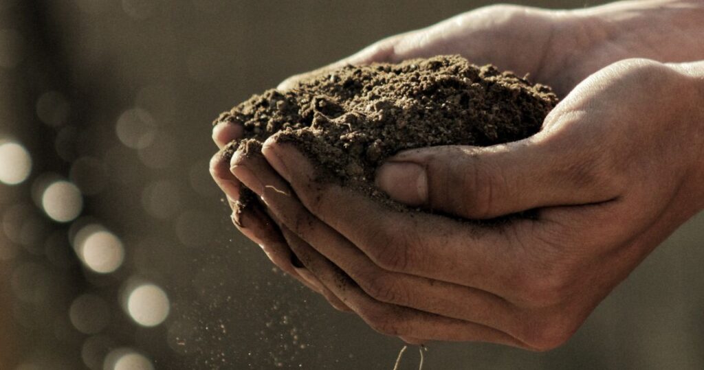 drainage in your garden