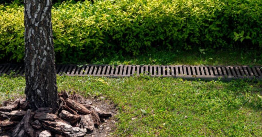 drainage in your garden