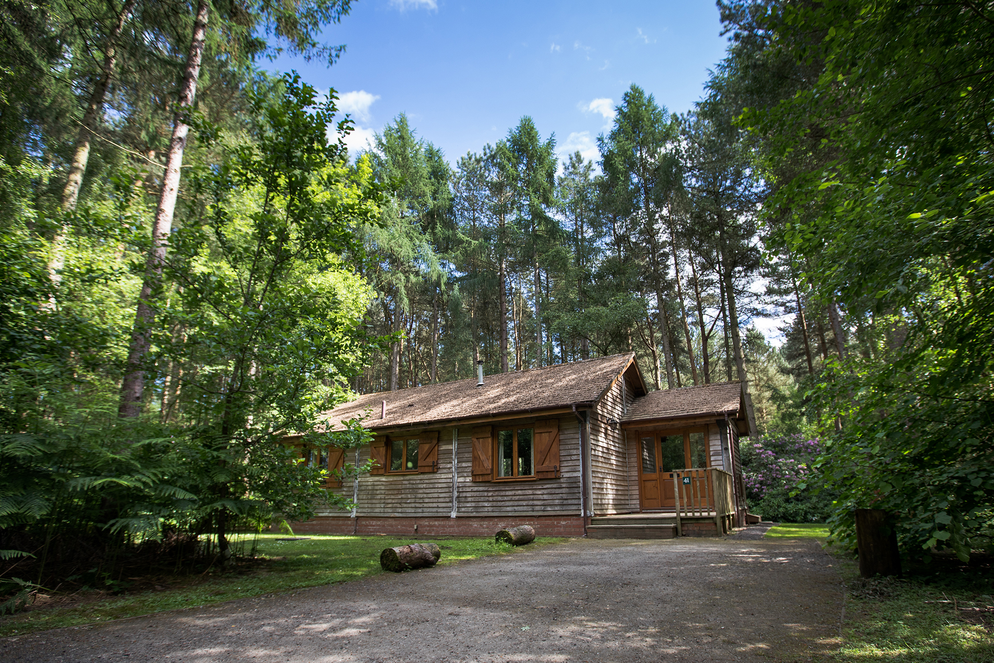Forest Lodge